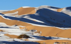 Tuyết phủ trắng vùng sa mạc nóng nhất Trái Đất Sahara