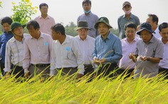 Kỹ sư Hồ Quang Cua trải lòng với Bộ trưởng NN-PTNT chuyện gạo ST25 rớt hạng