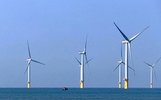 Tập đoàn điện gió Đan Mạch đề xuất nghiên cứu dự án 13,6 tỉ USD tại Hải Phòng