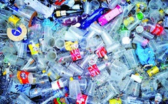 Siêu vi khuẩn 'ăn' nhựa đang phát triển trên toàn cầu