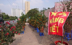 24 tết, người bán hoa tại Hà Nội xả hàng, giảm giá, chỉ mong huề vốn
