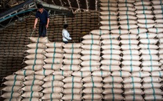 Bangladesh sẽ nhập khẩu 50.000 tấn gạo Việt Nam