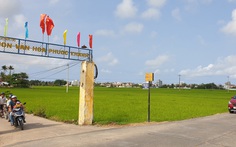 Rủ nhau... bán ruộng