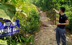 Hà Tĩnh: Nhiều cán bộ xã được giao, cho ‘mượn’ đất rừng sai quy định