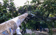 Xe tải vướng dây điện tại Thủ Đức: Vì sao dây điện không đứt mà cột điện gãy?