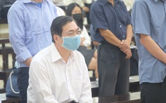 Cựu bộ trưởng Vũ Huy Hoàng kháng cáo xin giảm nhẹ hình phạt