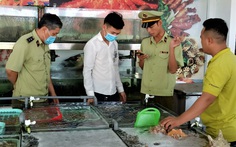 Phạt hơn 13 triệu đồng nhà hàng bán 1,8 triệu/kg ốc hương