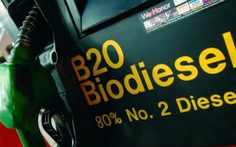 Indonesia là nhà sản xuất dầu diesel sinh học lớn nhất thế giới