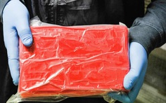 Hong Kong bắt 700kg cocaine nhập vào bằng tàu cao tốc