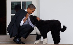 Gia đình Obama vĩnh biệt cún cưng bị ung thư
