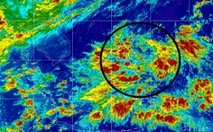 Ngày mai vùng áp thấp vào Biển Đông, từ đầu tuần mưa tăng trên cả nước