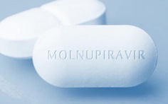 Từ 27-8, TP.HCM đưa thuốc kháng virus Molnupiravir điều trị cho F0 cộng đồng