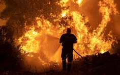 Thủ tướng Hy Lạp xin lỗi vì để cháy rừng như ‘ngày tận thế’