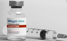 Bộ Y tế phê duyệt khẩn cấp vắc xin Hayat-Vax, vắc xin thứ 7 được lưu hành tại Việt Nam