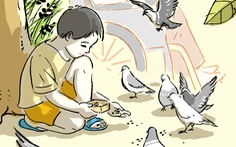 Truyện ngắn: Bầy chim câu trong hẻm nhỏ