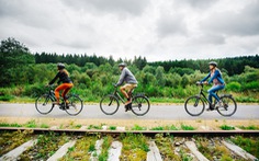 Bỉ xây dựng đường cao tốc dành cho xe đạp