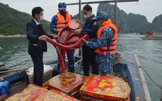 Thu giữ gần 300kg pháo nổ nhãn hiệu Trung Quốc trên vùng biển Vân Đồn