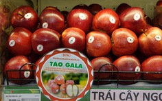 20 tấn táo từ Ba Lan 'bay' về Việt Nam phục vụ Tết Nguyên đán