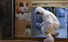 Hamster 'dính' COVID-19, Hong Kong yêu cầu dân nộp hàng ngàn con để tiêu hủy