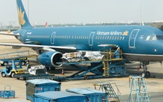 Vietnam Airlines bán đào, mai giao tận nhà