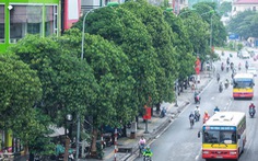 Bộ Công an yêu cầu định giá cây xanh ở Hà Nội giai đoạn 2016-2018