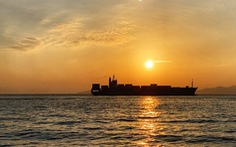 Truyền thông Nga: Ukraine tịch thu 9 tàu chở hàng của Nga từ 2021 đến nay