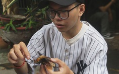 Cuộc thi ‘Lan tỏa năng lượng tích cực 2022’: ‘Báu vật’ bọ cánh cứng của chàng trai ở TP.HCM