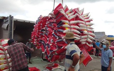 Gạo Việt cần thương hiệu quốc gia