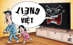 Truyền hình dễ dãi, tiếng Việt sai khác
