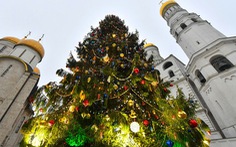 Cây thông 95 tuổi được chọn để thắp sáng điện Kremlin