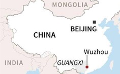 Vụ rơi máy bay có 132 người ở Trung Quốc: Không tìm thấy người sống sót