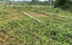 Hà Nội tạm dừng tách thửa đất nông nghiệp để rà soát