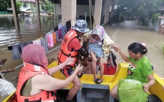 Cơn bão đầu tiên năm 2022 ở Philippines: 138 người chết, hơn 100 người mất tích