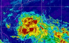 Ngày 29 và 30-4: Vùng áp thấp có khả năng mạnh lên thành áp thấp nhiệt đới trên Biển Đông