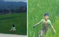 Cậu bé cày nát ruộng lúa vì bị diều  lôi