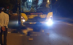 Vụ tai nạn 3 người chết ở Bình Định: Khởi tố, bắt tạm giam tài xế xe khách