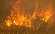 Đức, Tây Ban Nha sơ tán dân trước nguy cơ cháy rừng lan rộng
