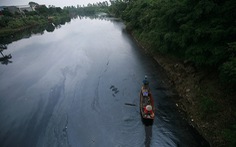 Ô nhiễm trầm trọng, làm gì để kênh Bắc Hưng Hải ‘sống lại’, cấp nước cho 3 triệu dân?