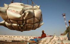 Triều Tiên nhập 3.744 tấn đậu nành Trung Quốc giữa đại dịch