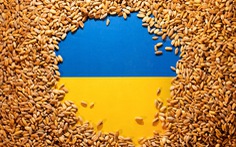 Nga - Thổ Nhĩ Kỳ đồng ý tiếp tục đàm phán về mở đường xuất khẩu ngũ cốc từ Ukraine