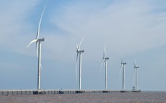 Điện gió trên toàn quốc chỉ phát phân nửa công suất lắp đặt