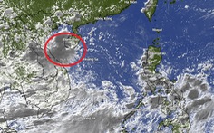 Vùng áp thấp trên Biển Đông có khả năng mạnh lên thành áp thấp nhiệt đới