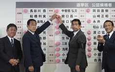 Đảng của ông Abe giành chiến thắng ở Thượng viện Nhật