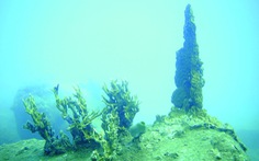 Hệ sinh thái rạn san hô:  Cái chết  được báo trước từ lâu