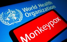 Sở Y tế TP.HCM đang họp bàn các tình huống ứng phó với bệnh đậu mùa khỉ