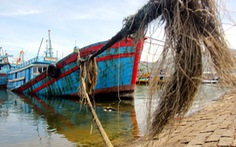 Bộ Công thương kiến nghị Thủ tướng: Lấy ngân sách bù giá xăng dầu cho ngư dân bám biển
