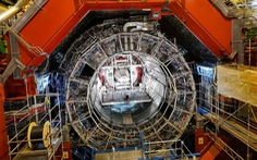 10 năm sự kiện khám phá chấn động 'hạt của Chúa' Higgs boson: Sau tiếng Eureka
