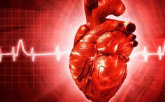 Phát hiện gene quan trọng trong chữa lành tổn thương tim