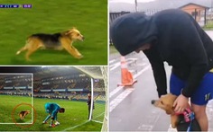 Chú chó vào sân tặng 'quà... bốc mùi' cho thủ môn đội khách