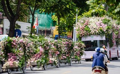 Roadshow siêu ấn tượng: Xe đạp, xích lô, bus ngập tràn sắc hoa sen